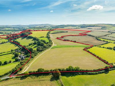 Click to view more details